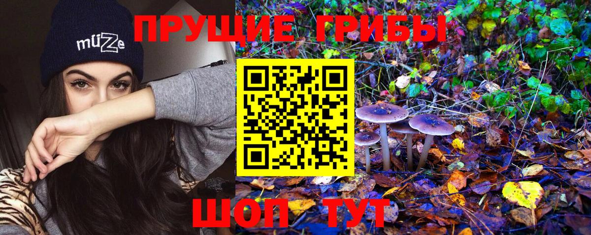 Псилоцибиновые грибы Psilocybine cubensis  цена наркотик  Белорецк  Галлюциногенные грибы мухоморы  Вход с VPN 